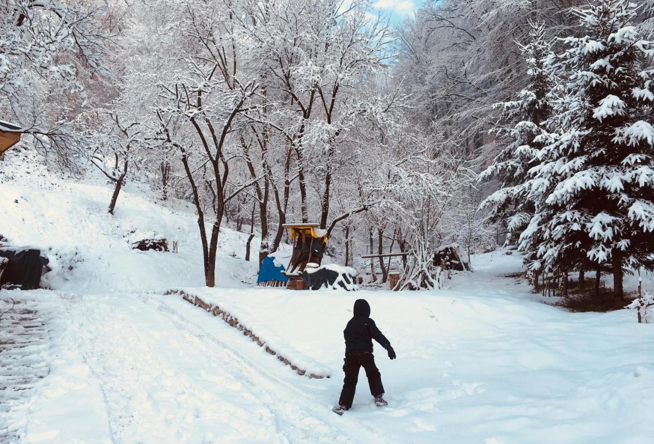 Soho Lodge Rasnov Экстерьер фото